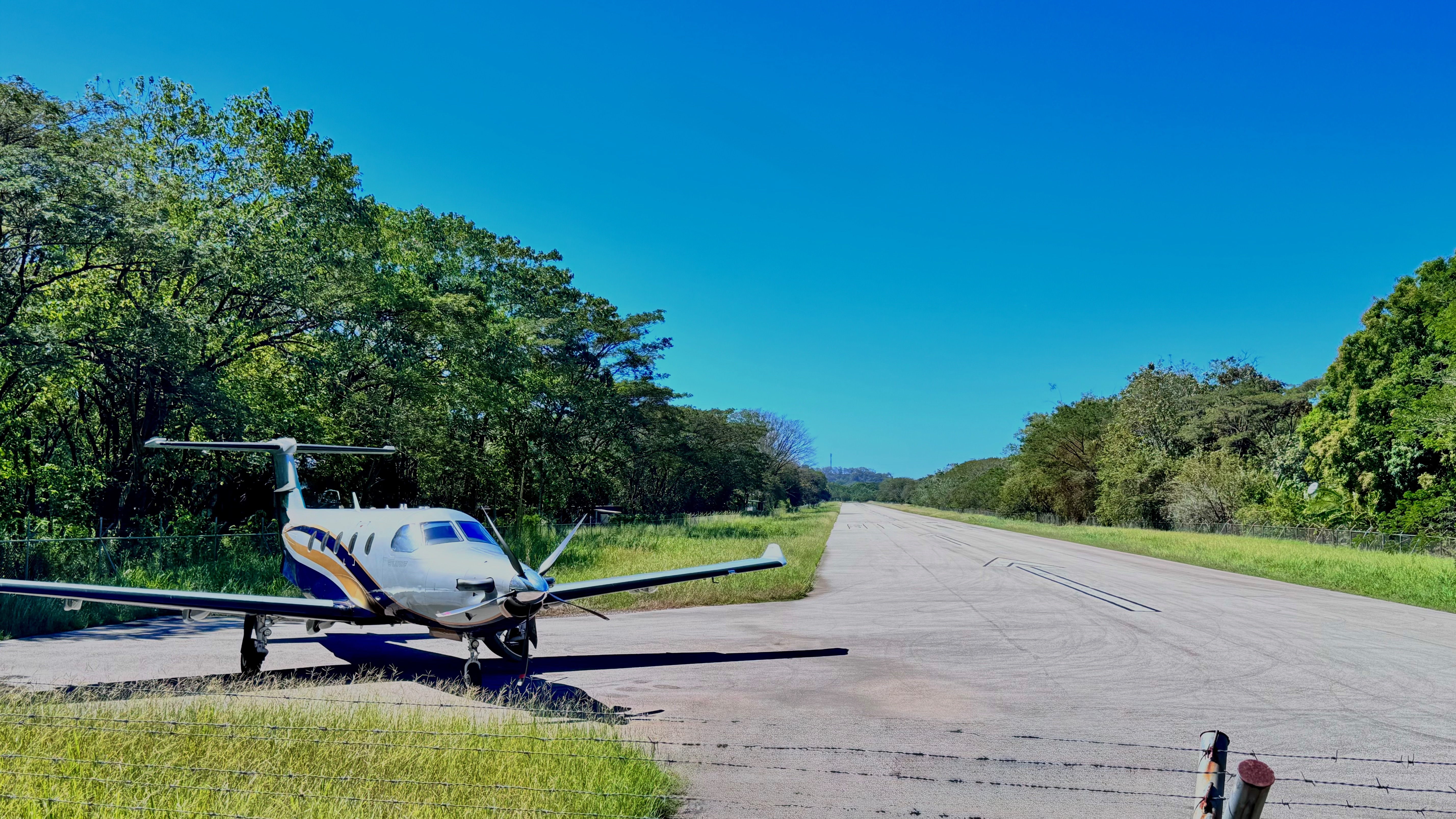 Aviator Independent Consultants